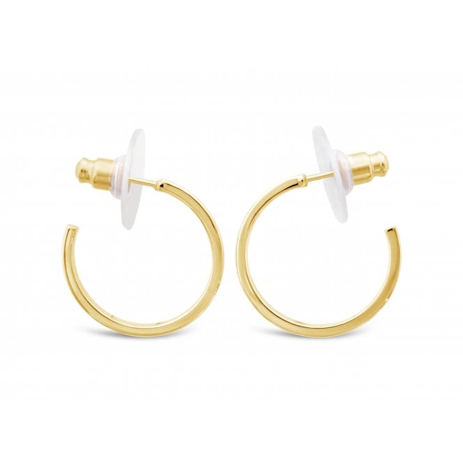 Hoop Earring | Gold Plated | Sensitive