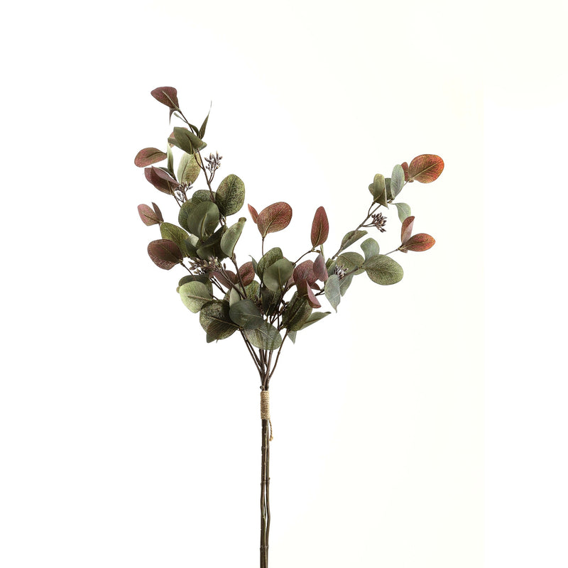 Variegated Eucalyptus Bouquet | 3 Stems
