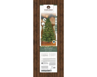 Everlands artificial Christmas tree in its original retail packaging, featuring a green tree pictured on the front insert with the brand name Everlands and product details below.