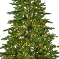 Everlands Galloway Spruce Christmas tree branches with warm white micro LED lights against a white background