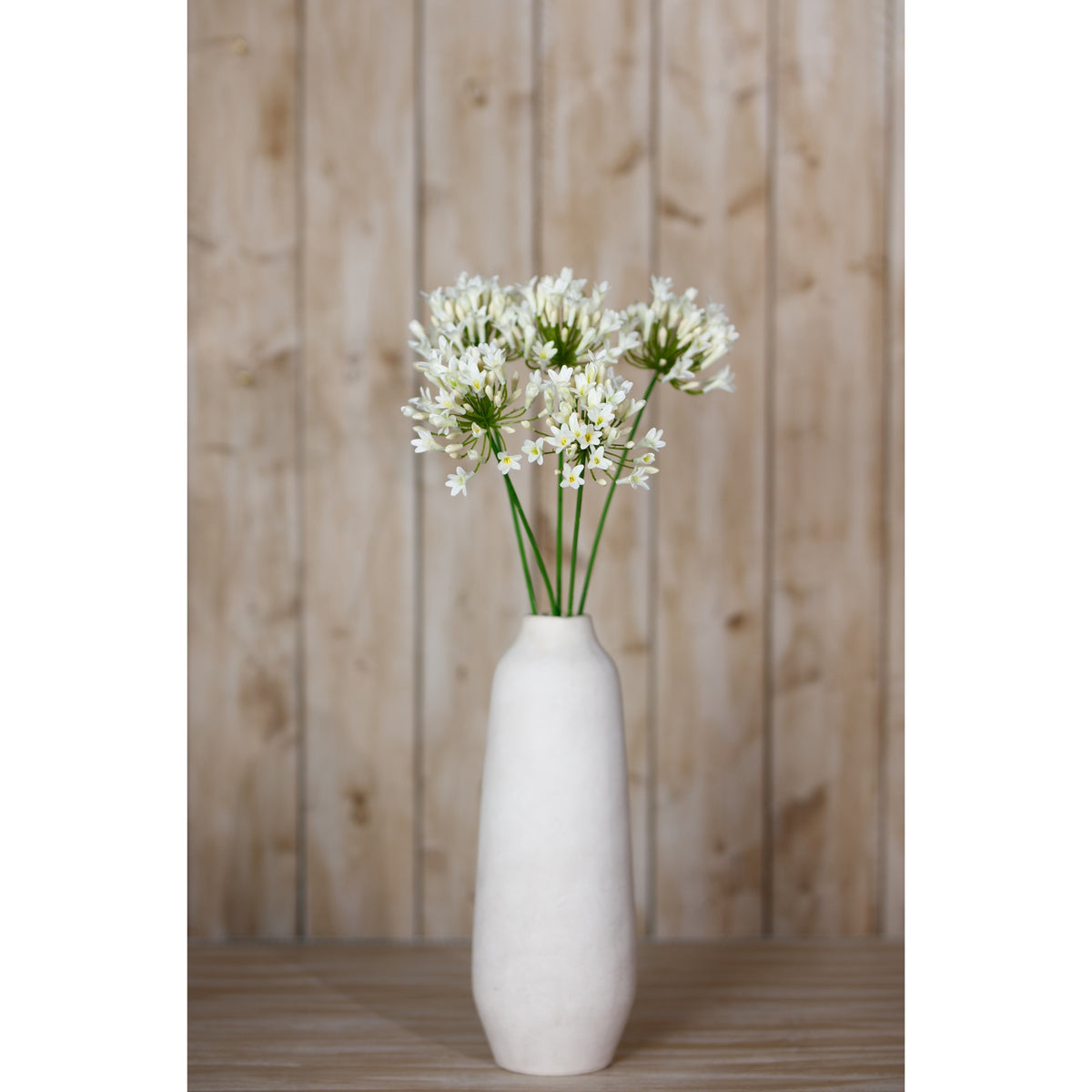 Agapanthus Stem | Cream