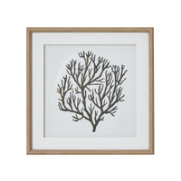 Reef Coral Art Mounted in Beaded Frame