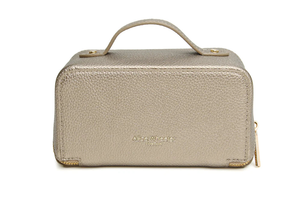 Train Case | Mini | Bronze