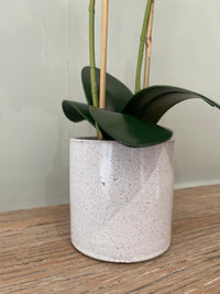 Orchid x2 In Ceramic Pot | 47cm