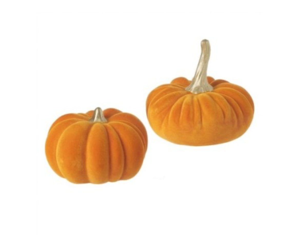 Orange & Gold Velvet Pumpkin | 2 Designs