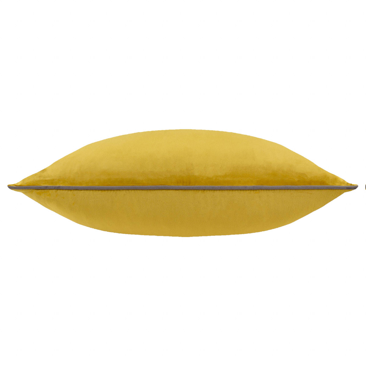 Meridian Velvet Cushion Moss/Charcoal