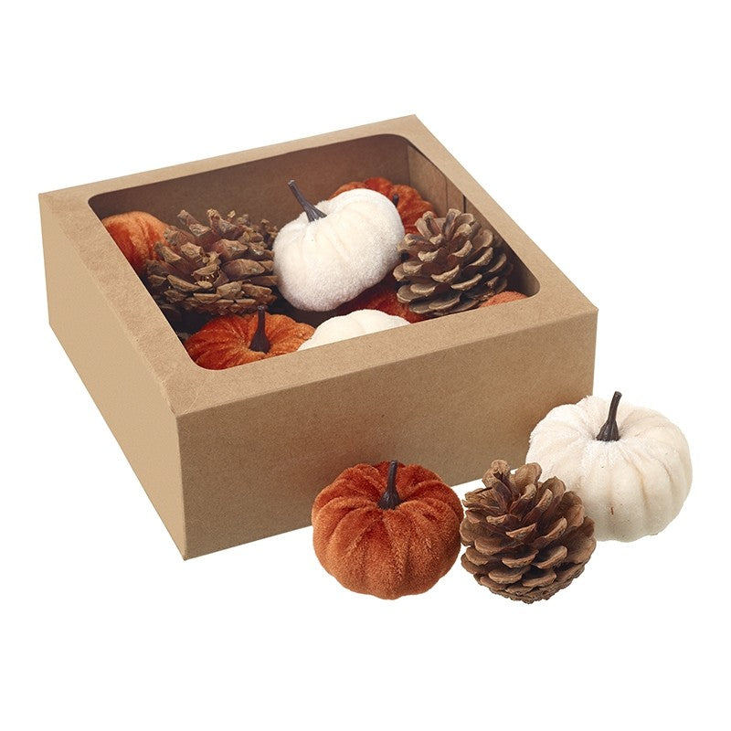 Pumpkins & Pinecones | Box Set of 12 | White & Orange Mix