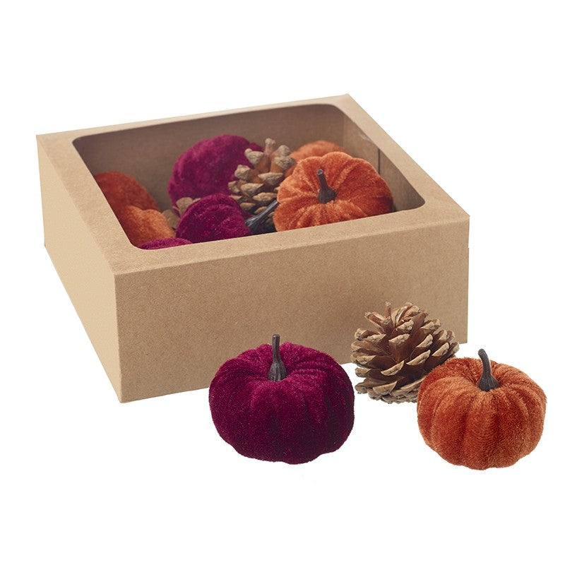 Pumpkins & Pinecones | Box Set of 12 | Crimson & Orange Mix