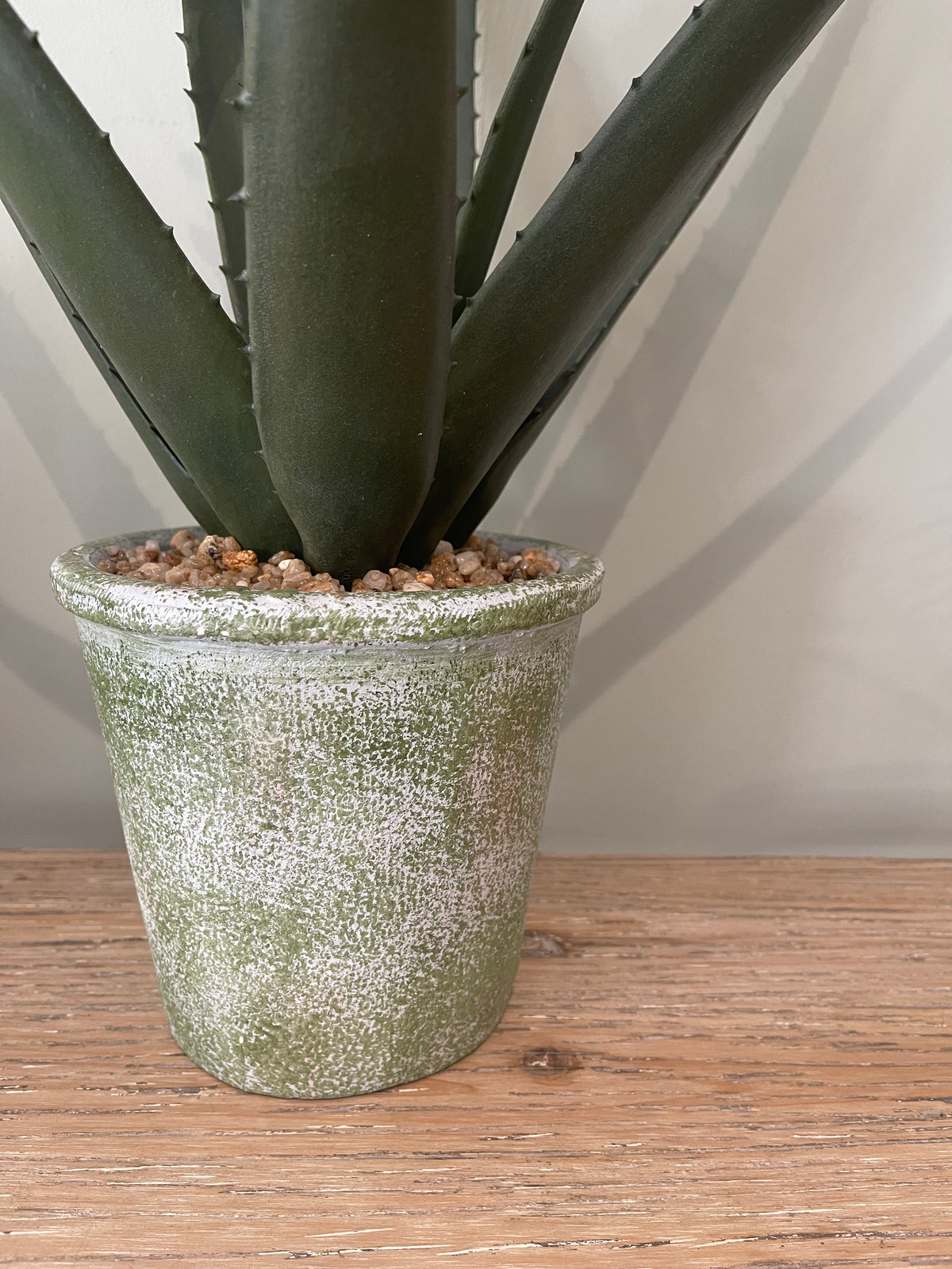 Flowering Aloe Vera Plant in Pot | 66cm